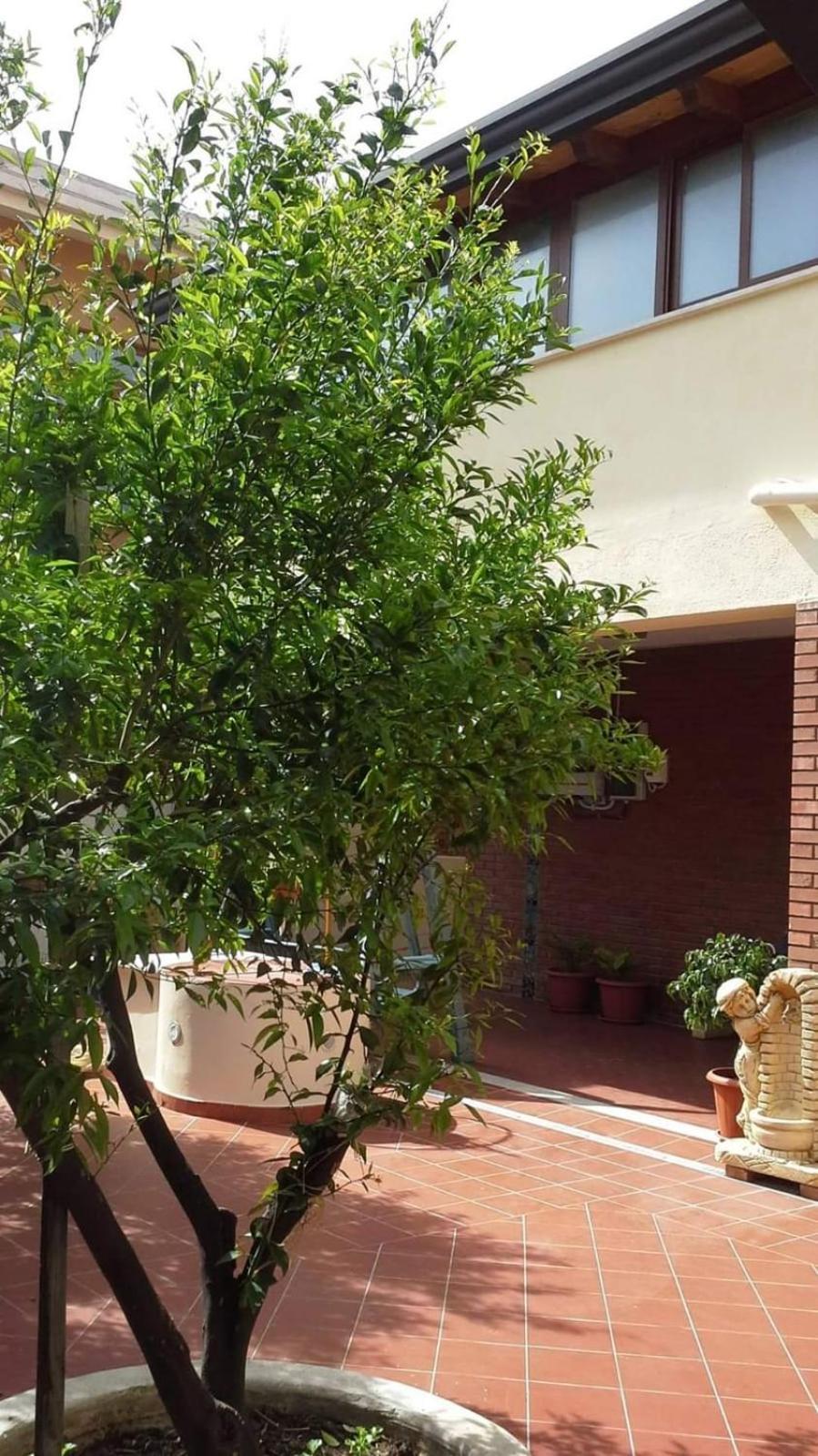 Casa Vacanze Due Passi E Il Mare Castel di Tusa Exterior foto